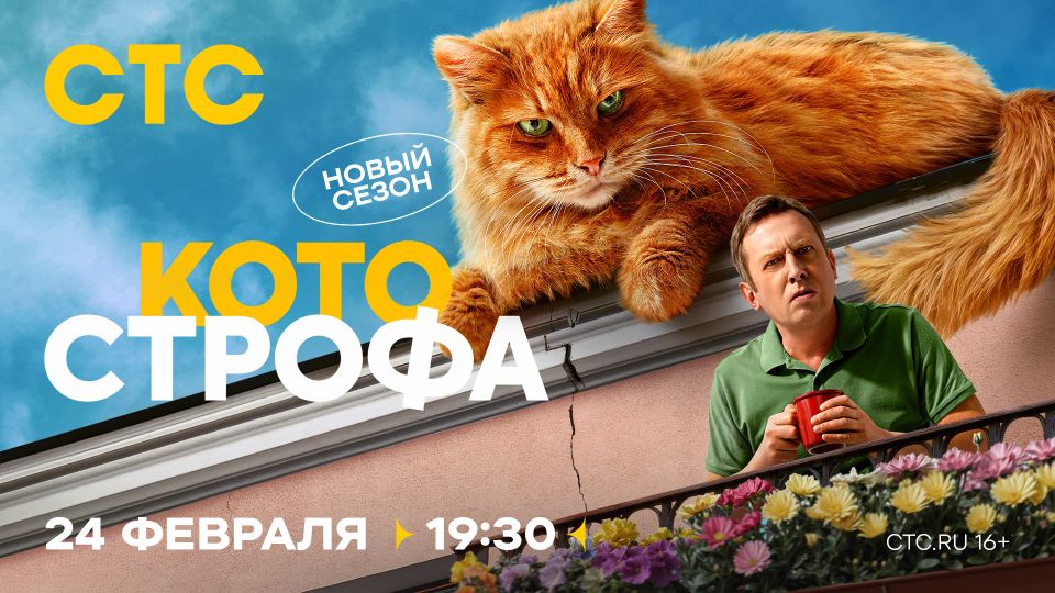 Сериал «Котострофа-2»
