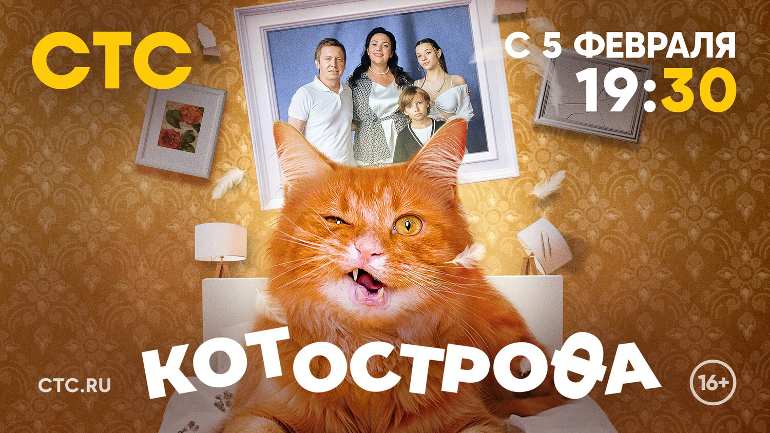 Сериал «Котострофа»